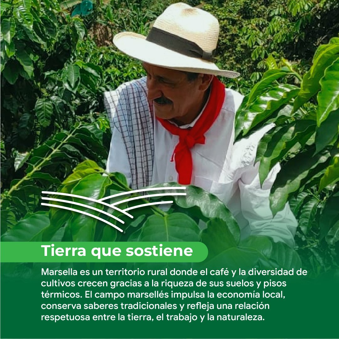 Mesa de trabajo 1 copia 3