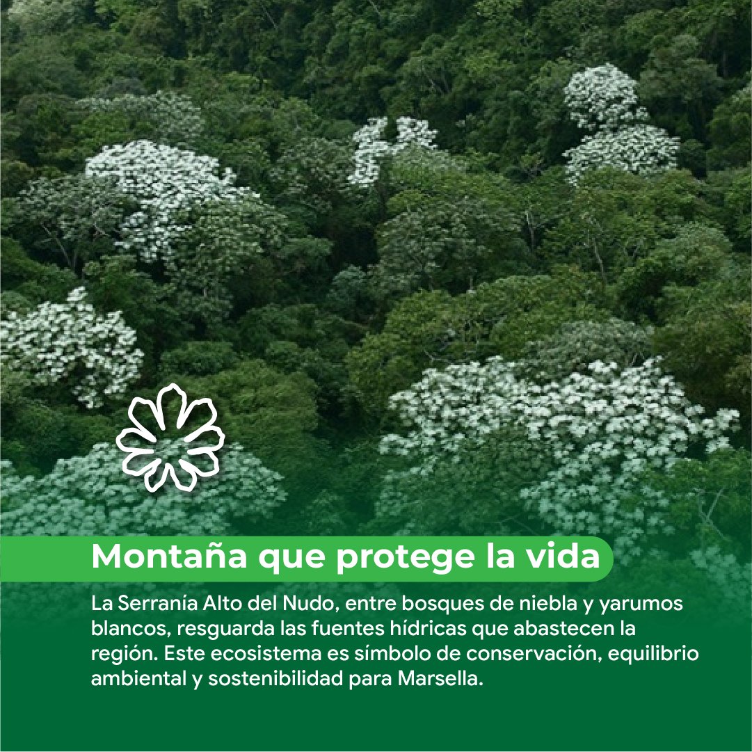 Mesa de trabajo 1 copia 6