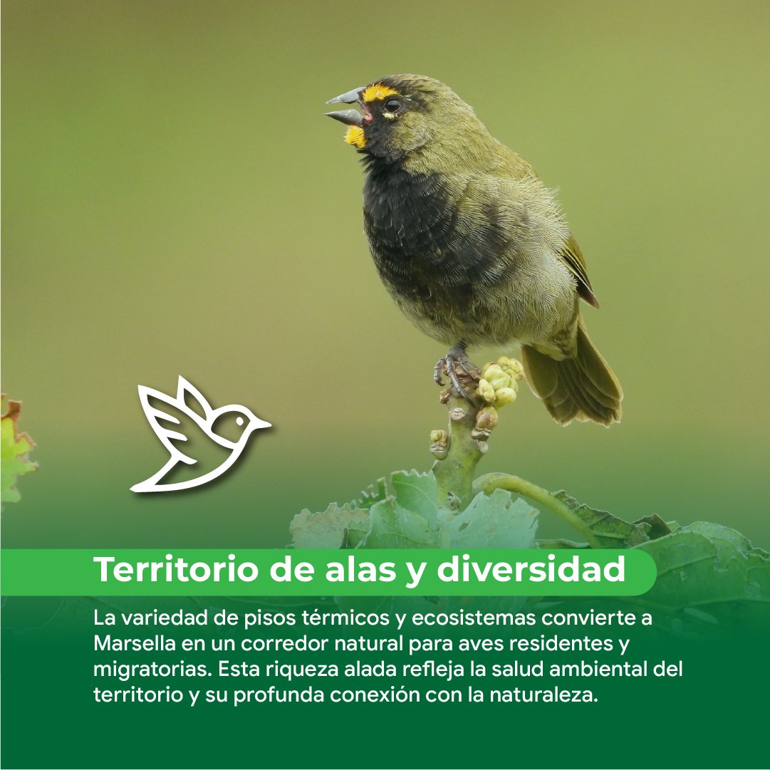 Mesa de trabajo 1 copia 7